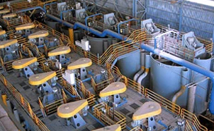 
	  Copper-Molybdenum Ore Beneficiation Plant in Mongolia
