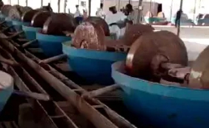 
	  Gold Stone Wet Pan Mill in Tanzania
