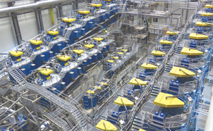 
	  Gold Ore Processing Plant in Zimbabwe
